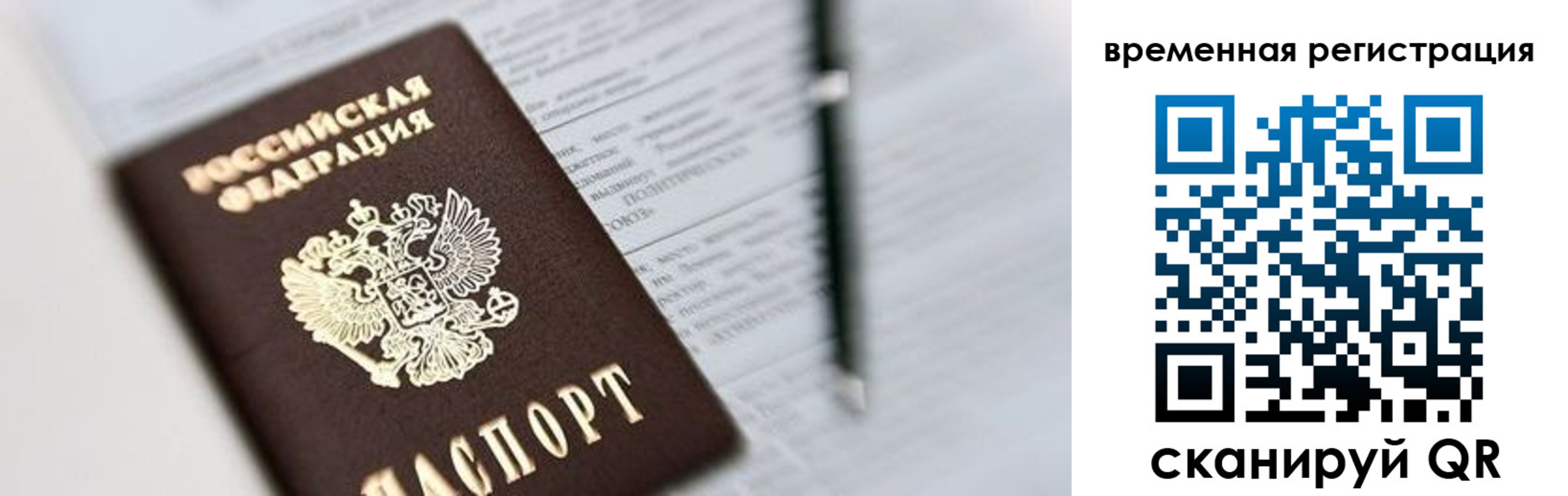 прописка от собственника в Светлогорске